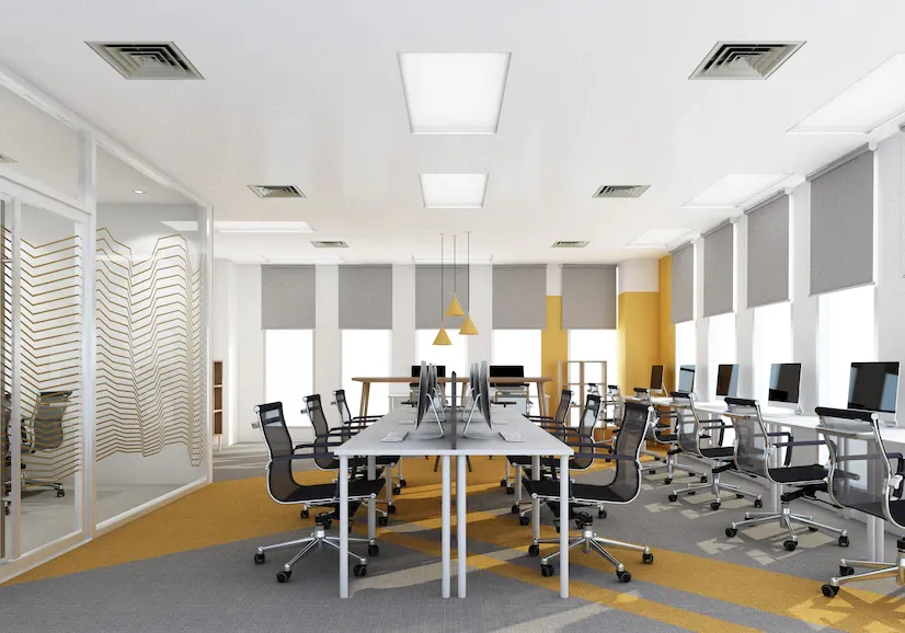 Office Furniture Reedify Rohtak